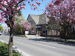 TV SAT MULTIMEDIA sídlo